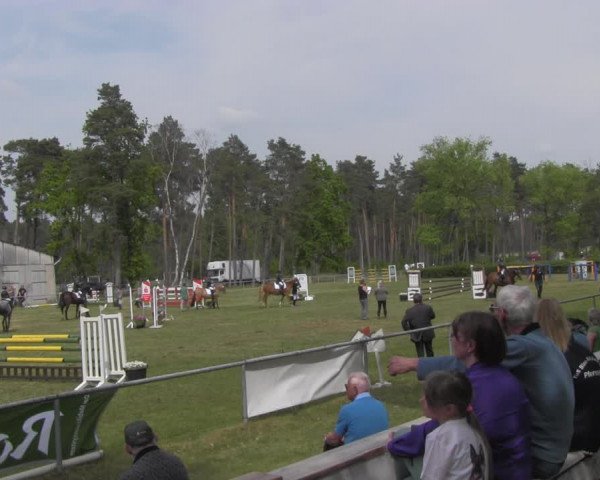 Reitturnier Kakerbeck 2023
