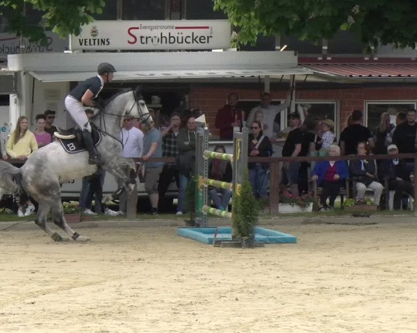 Reitturnier Everswinkel 2023