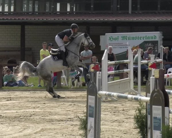 Reitturnier Everswinkel 2023