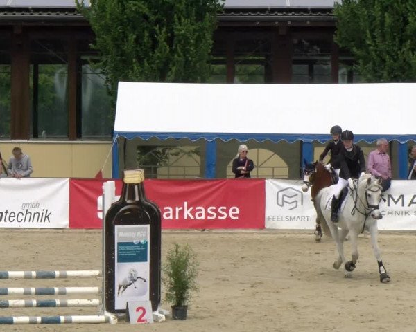 Reitturnier Everswinkel 2023