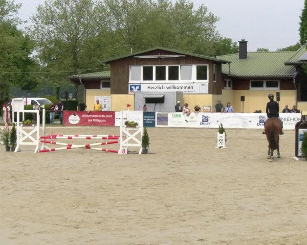 Reitturnier Everswinkel 2023