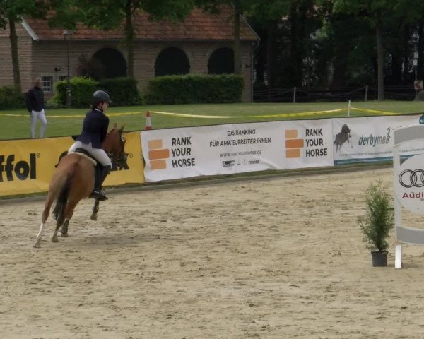 Reitturnier Everswinkel 2023