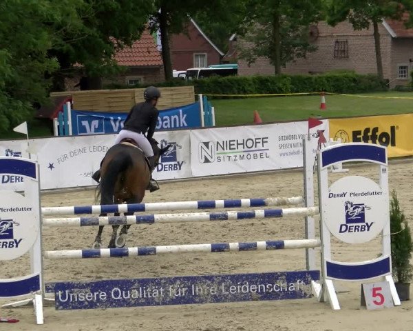 Reitturnier Everswinkel 2023