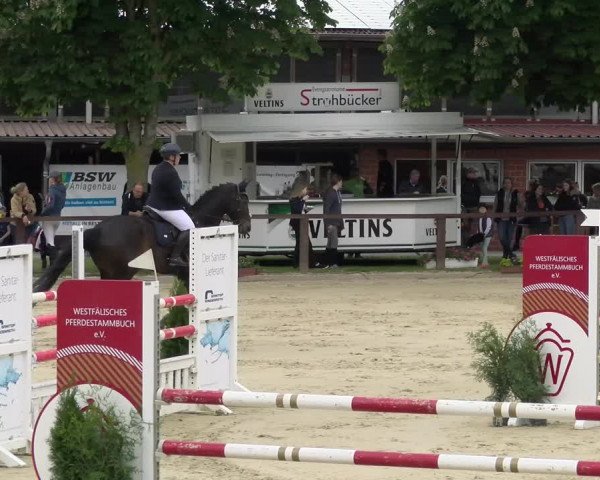 Reitturnier Everswinkel 2023