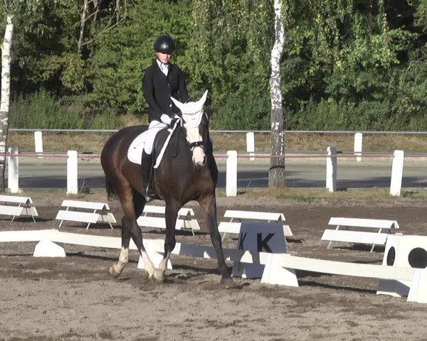 Reitturnier Forst 2021