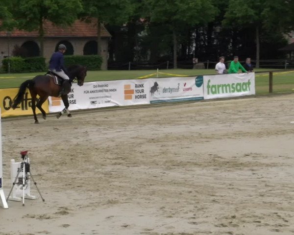 Reitturnier Everswinkel 2023