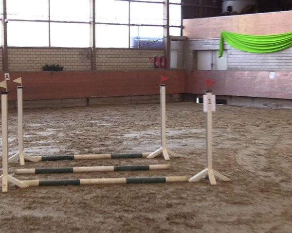 Reitturnier Hellefeld 2023