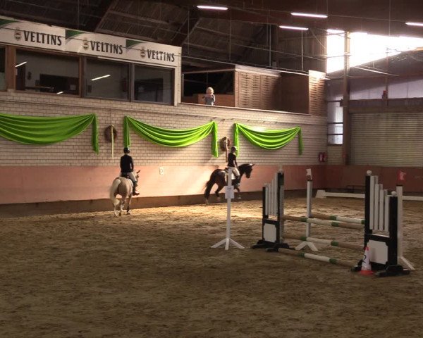 Reitturnier Hellefeld 2023