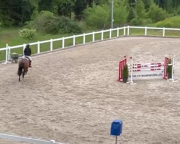 Video of Joy 439
