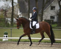 dressage horse Hot Emma W (Westphalian, 2019, from Hotline)
