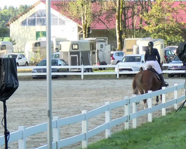 Reitturnier Isny-Rohrdorf 2021