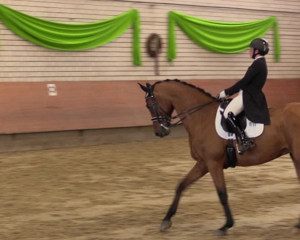 Reitturnier Hellefeld 2023