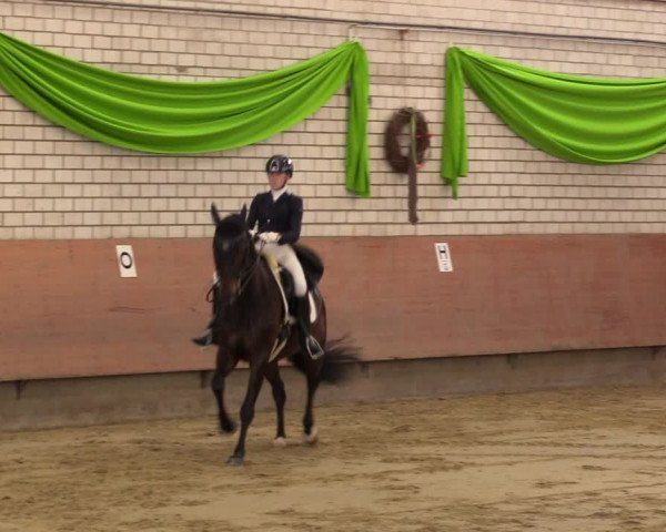 Reitturnier Hellefeld 2023