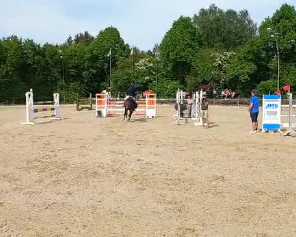 Reitturnier Thierhaupten-Ötz/Schw. 2023