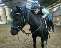 dressage horse Milky Way 112 (German Riding Pony, 2018, from Roy)