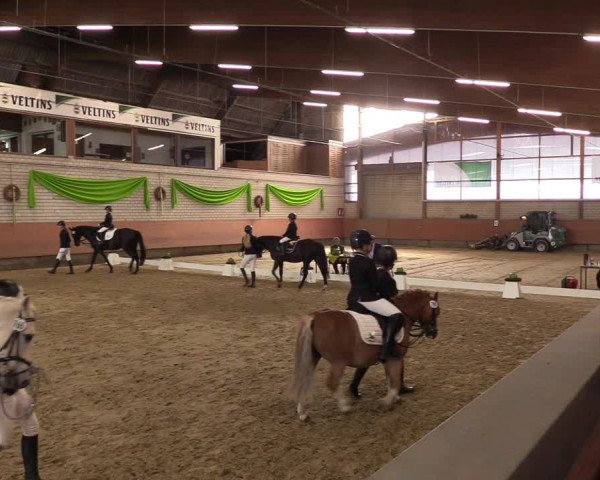 Reitturnier Hellefeld 2023