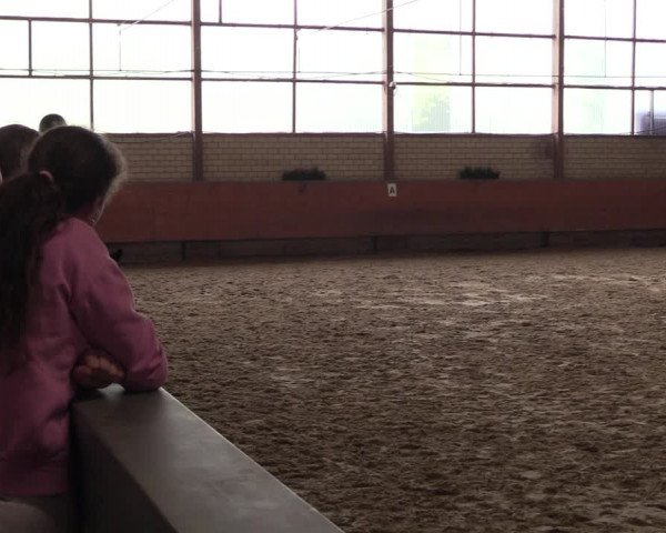 Reitturnier Hellefeld 2023