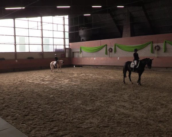 Reitturnier Hellefeld 2023
