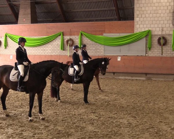 Reitturnier Hellefeld 2023