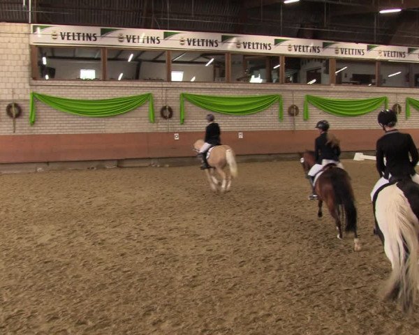 Reitturnier Hellefeld 2023