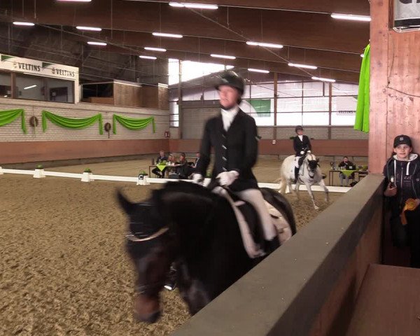 Reitturnier Hellefeld 2023