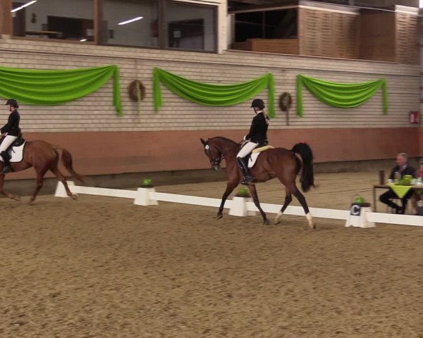 Reitturnier Hellefeld 2023