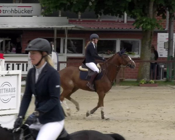 Reitturnier Everswinkel 2023