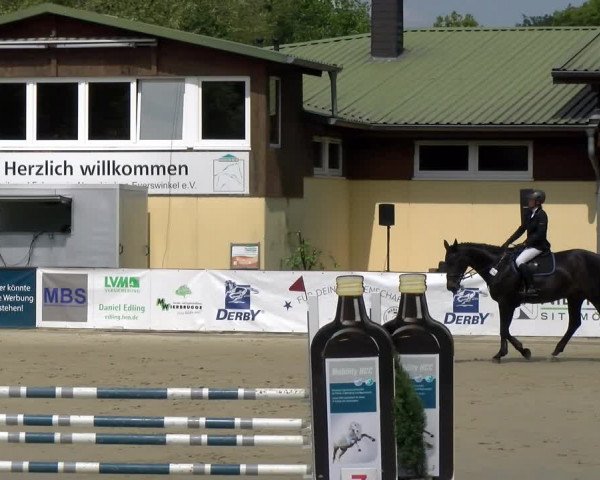 Reitturnier Everswinkel 2023