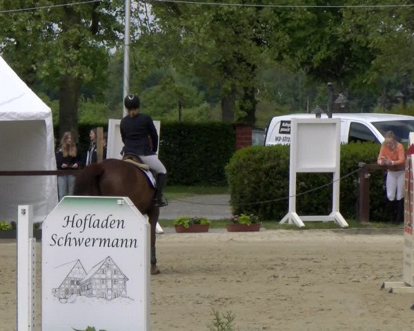 Reitturnier Everswinkel 2023