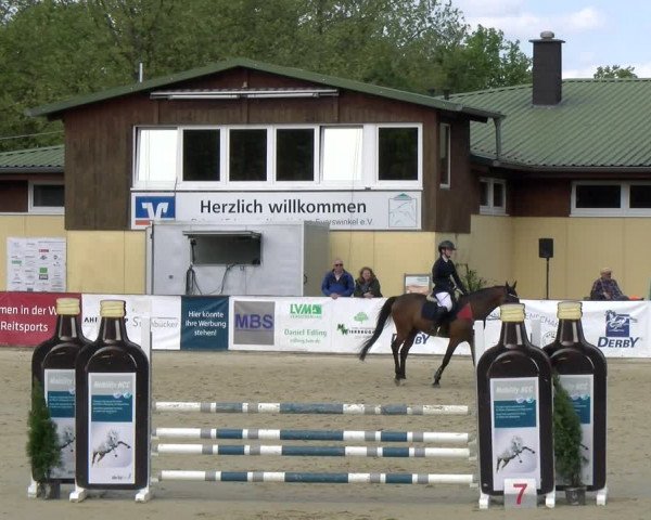 Reitturnier Everswinkel 2023