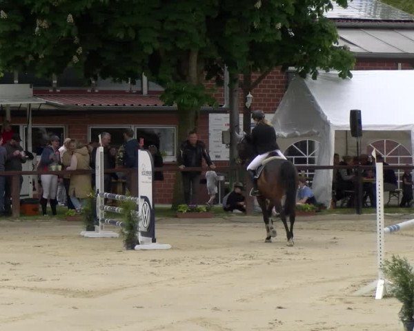 Reitturnier Everswinkel 2023