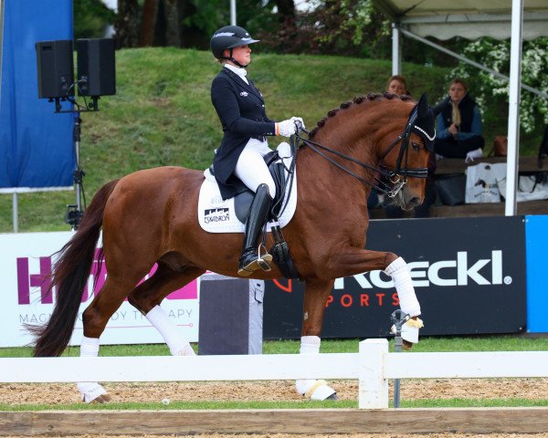 Katharina Hemmer