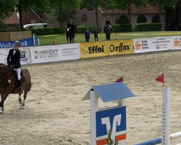 Reitturnier Everswinkel 2023