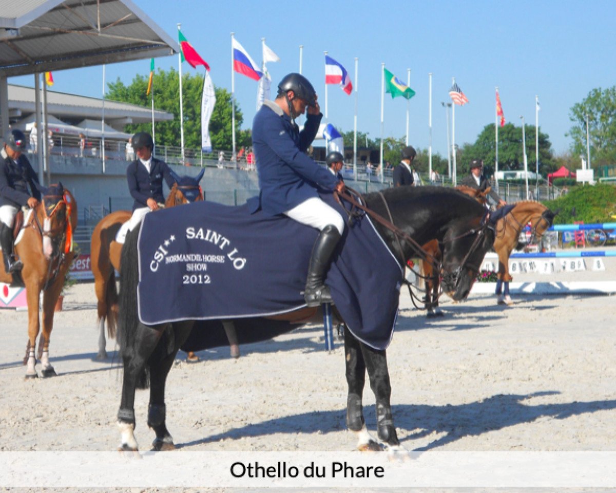 stallion Othello du Phare (Selle Français, 2002, from Kannan)