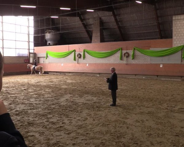 Reitturnier Hellefeld 2023