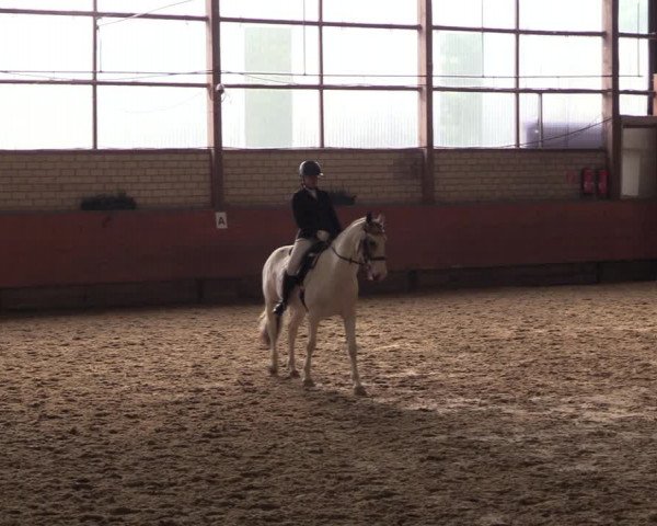 Reitturnier Hellefeld 2023