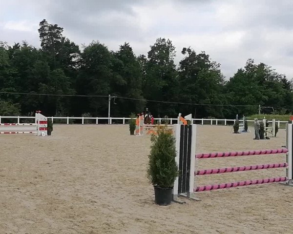 Video von Coradina
