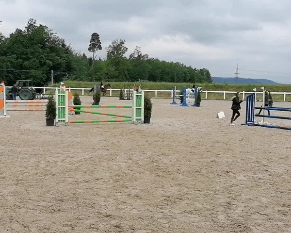 Video von Coradina