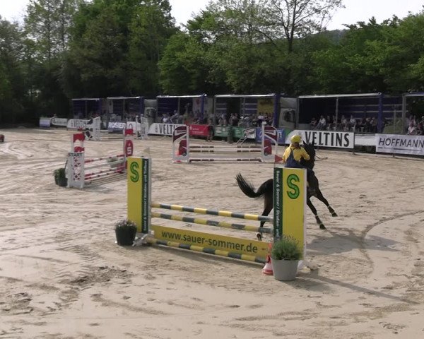 Reitturnier Hellefeld 2023