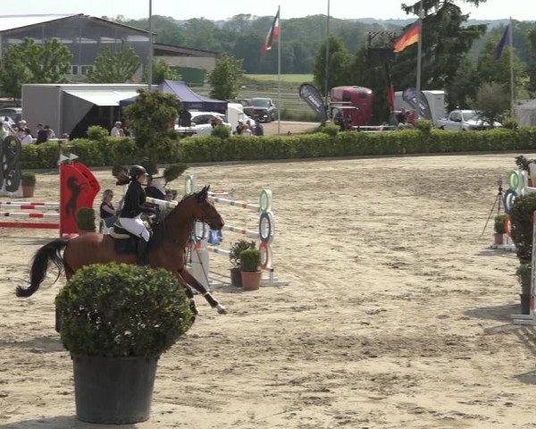 Reitturnier Bornheim Widdig 2023