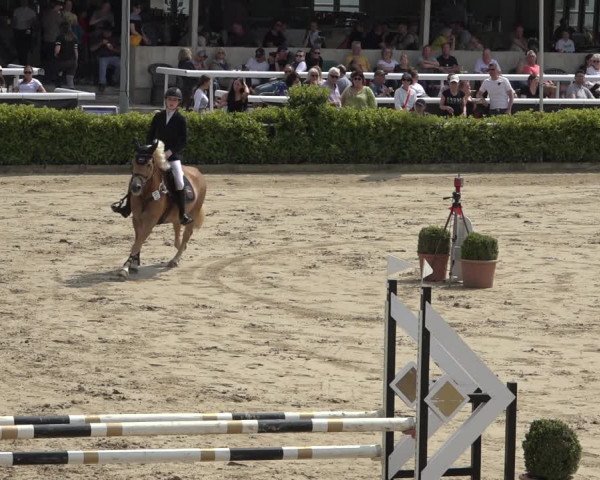 Reitturnier Bornheim Widdig 2023