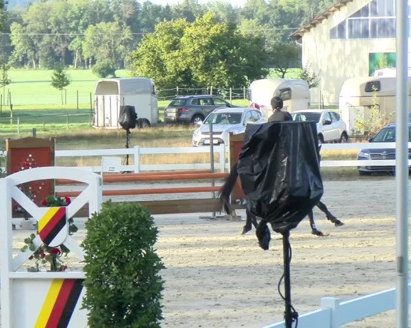 Reitturnier Isny-Rohrdorf 2021