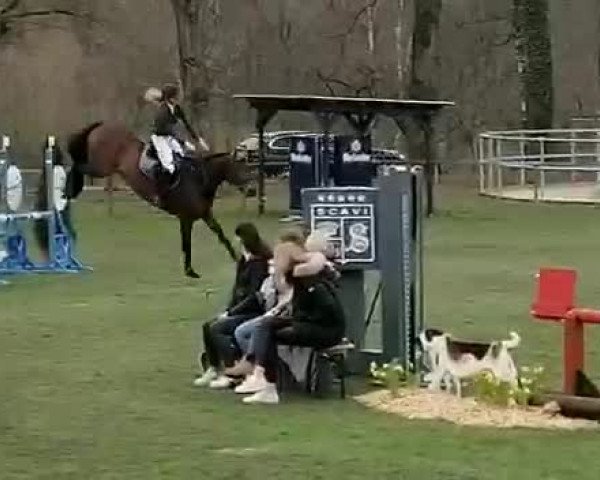 Reitturnier Bad Lippspringe 2023
