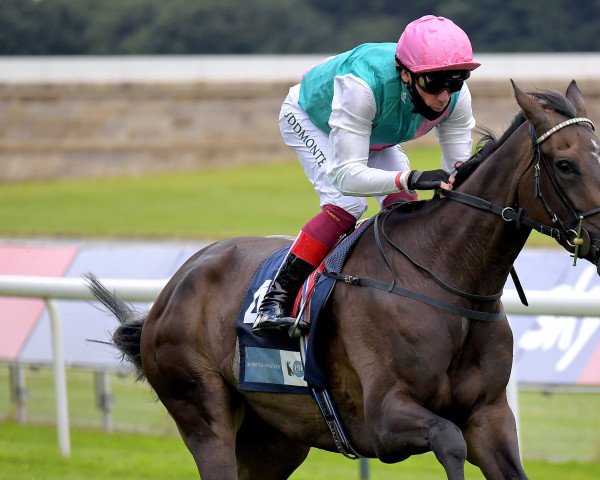 broodmare Franconia xx (Thoroughbred, 2017, from Frankel xx)