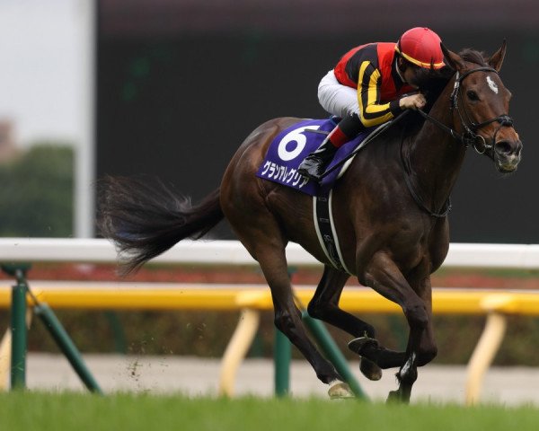 broodmare Gran Alegria xx (Thoroughbred, 2016, from Deep Impact xx)