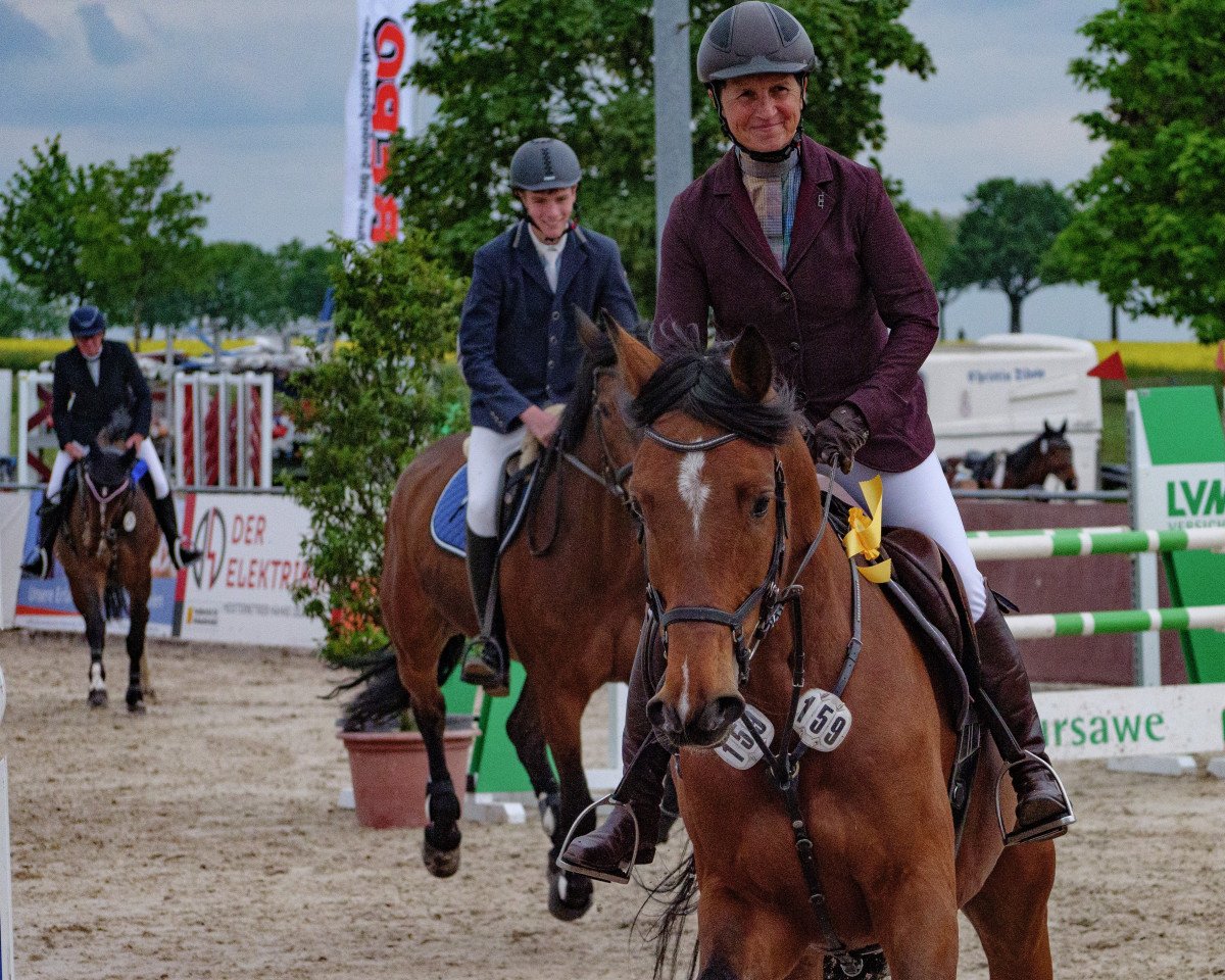 Springpferd Baridos H (Holsteiner, 2016, von Constanzehof's Barcley)