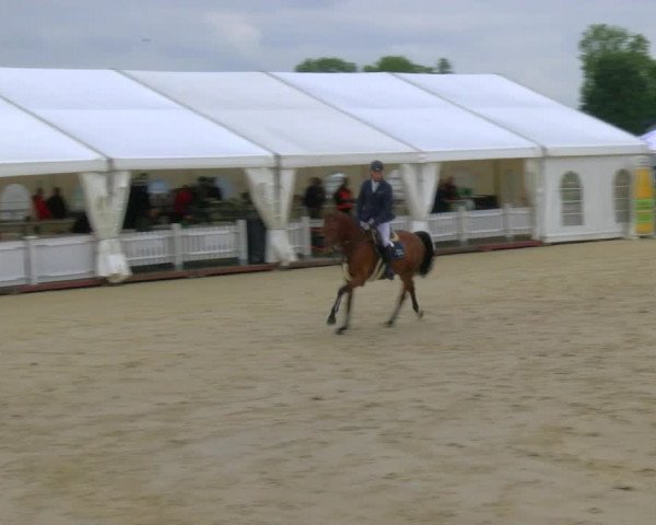 Reitturnier Borken Reitanlage Sportpferde Ehning 2023