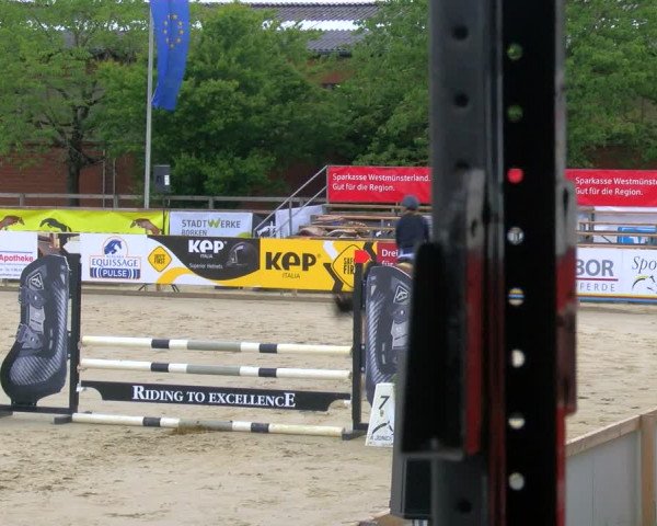 Reitturnier Borken Reitanlage Sportpferde Ehning 2023