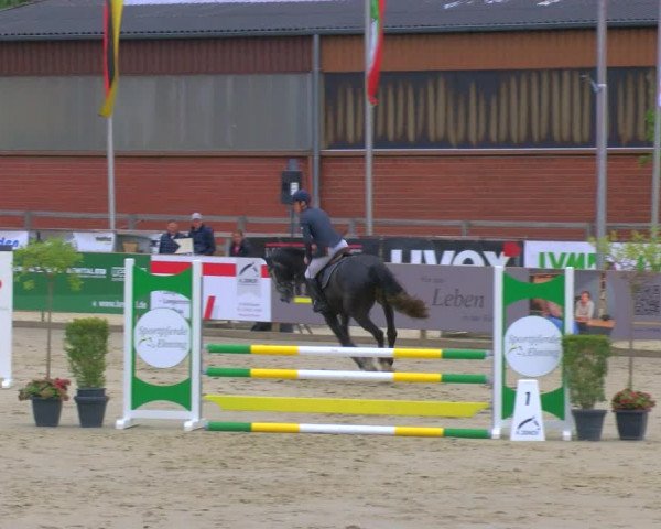 Reitturnier Borken Reitanlage Sportpferde Ehning 2023