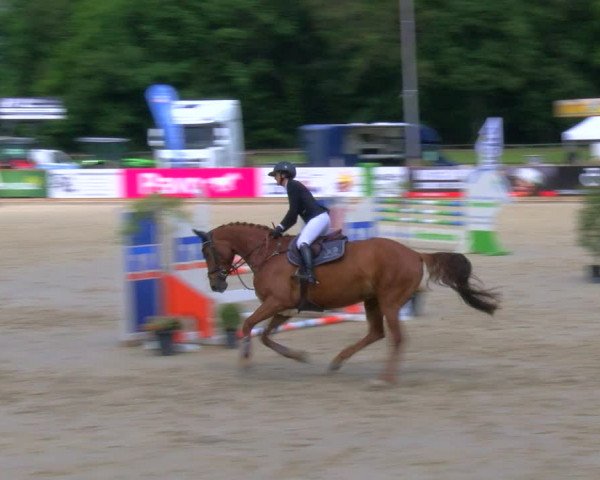 Reitturnier Borken Reitanlage Sportpferde Ehning 2023